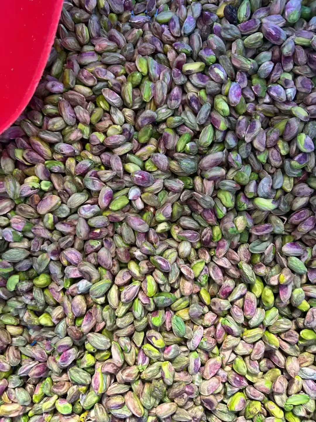 프리미엄 피스타치오 5